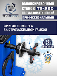 TS-520 Балансировочный станок 220V
